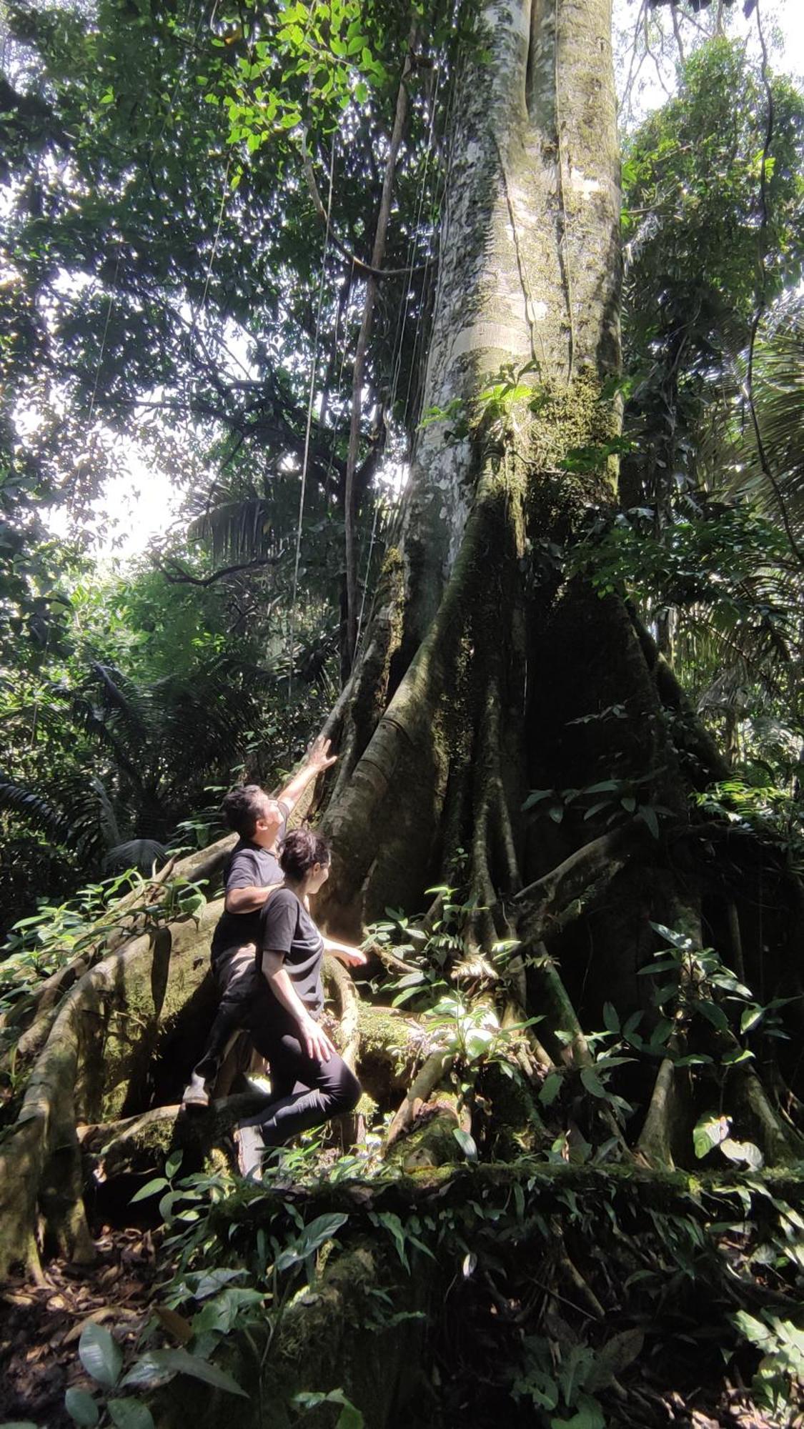 Gaia Amazon Eco Lodge Ahuano Экстерьер фото