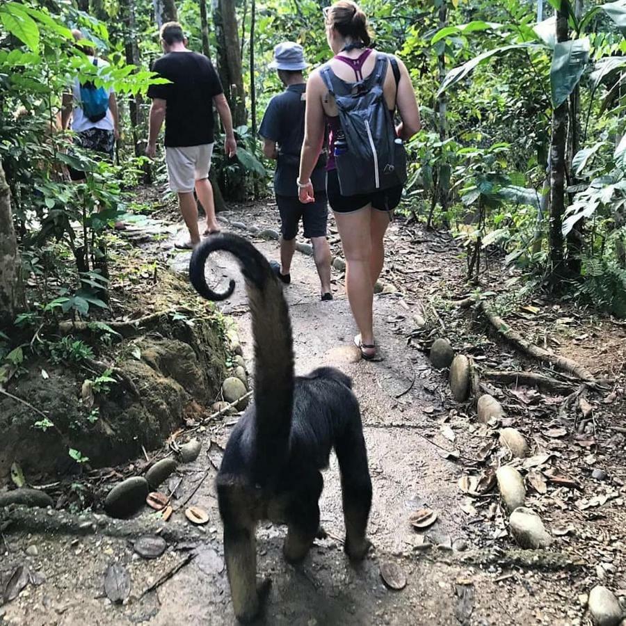 Gaia Amazon Eco Lodge Ahuano Экстерьер фото